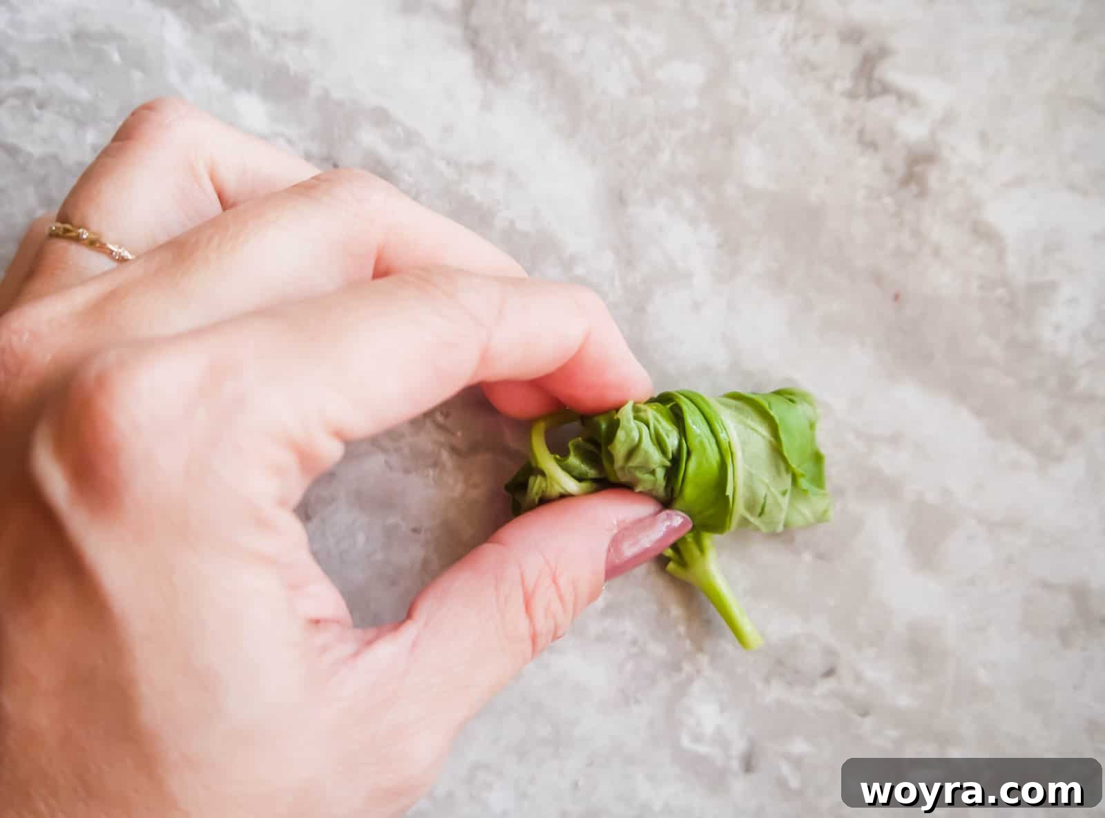 Fresh basil leaves rolled together, ready for slicing.