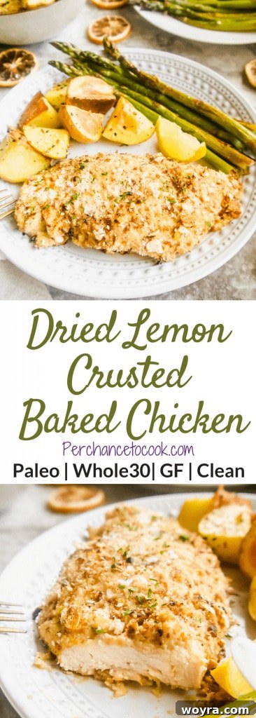 Intense Dried Lemon Crusted Chicken 7 Dried Lemon Crusted Baked Chicken (Paleo, Whole30) | Perchance to Cook, www.perchancetocook.com