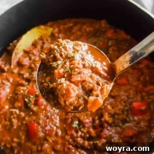 Fiery Homestyle Meat Ragu 6 Arrabbiata Meat Sauce (Paleo, Whole30) | Perchance to Cook, www.perchancetocook.com