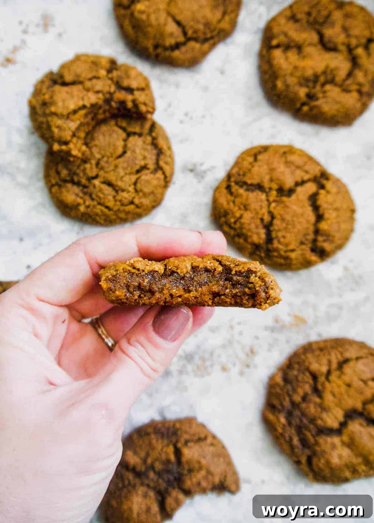 Paleo Pumpkin Spice Molasses Cookies 4 Molasses almond flour cookies with a bite taken out of one.