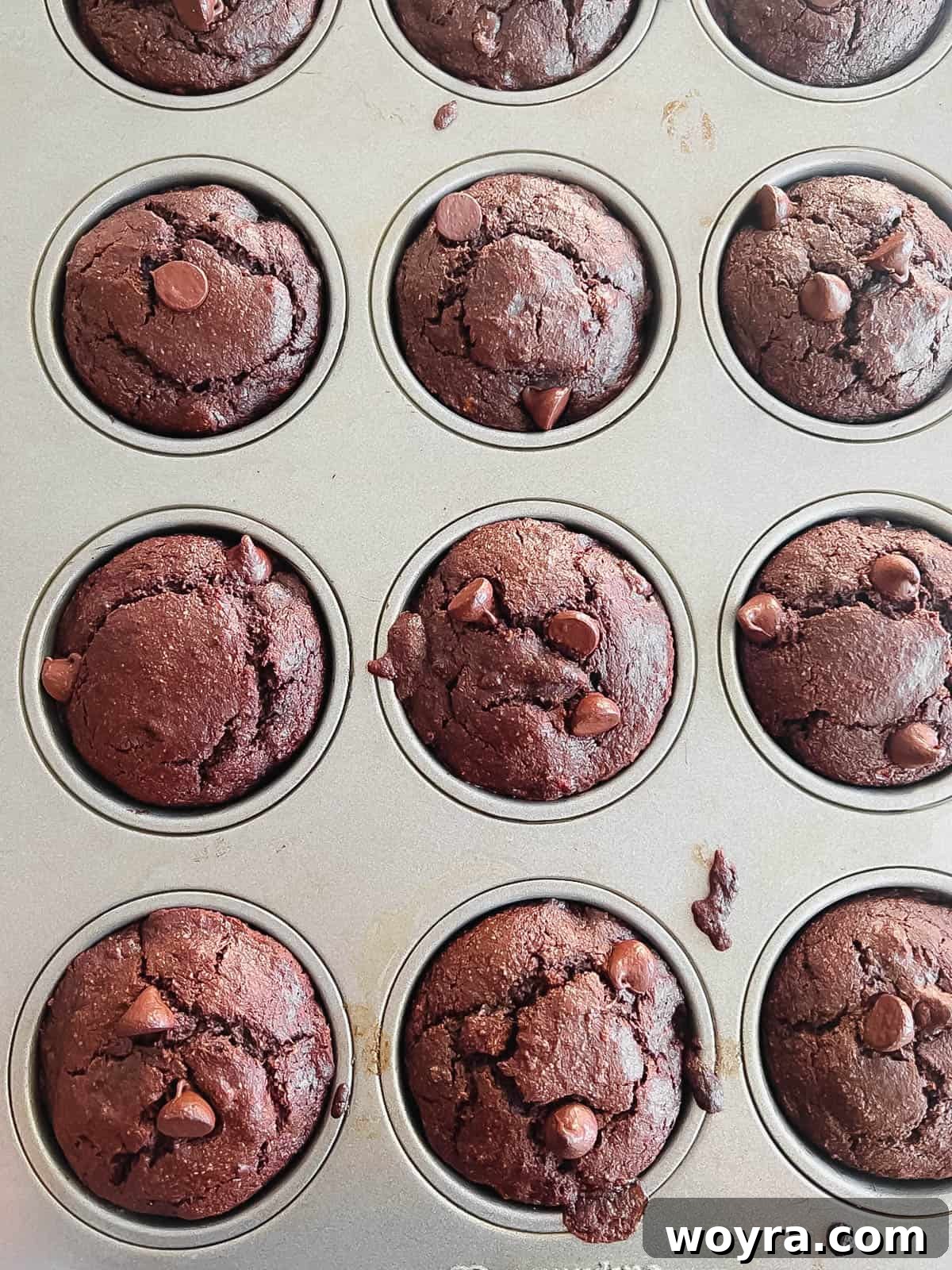Decadent Paleo Chocolate Muffins 10 Baked paleo chocolate muffins, golden brown and risen, cooling in muffin tins.