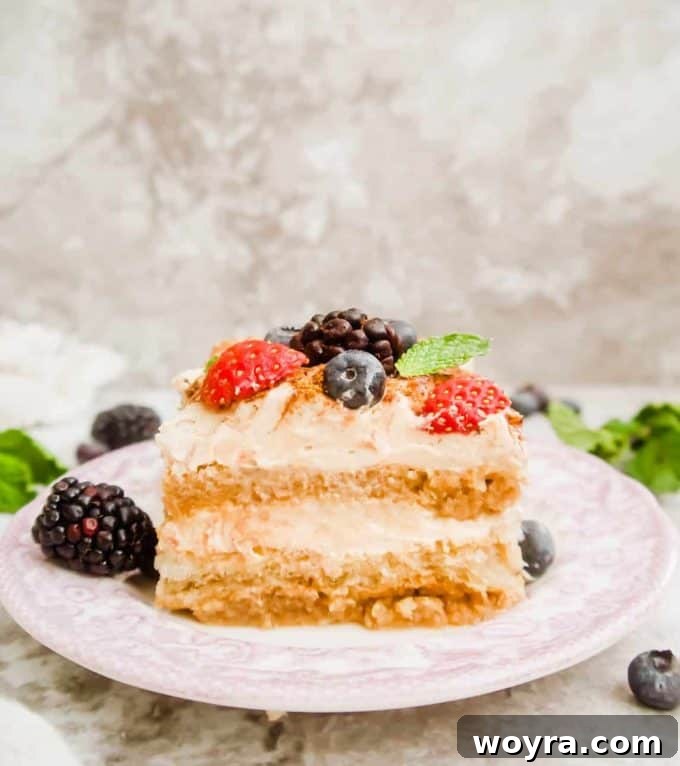 Berry Cloud Tiramisu 2 Exquisite Dairy-Free Fresh Berry Tiramisu with vibrant toppings