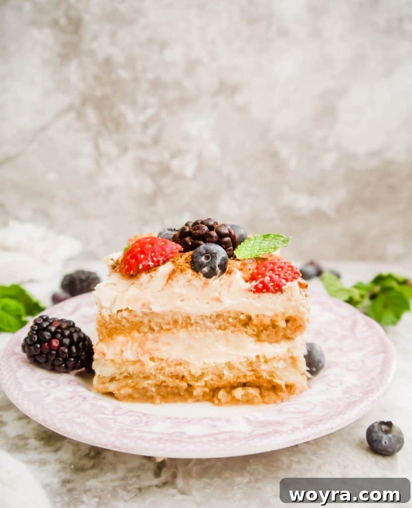 Berry Cloud Tiramisu 5 Serving of Dairy-Free Fresh Berry Tiramisu with mint garnish