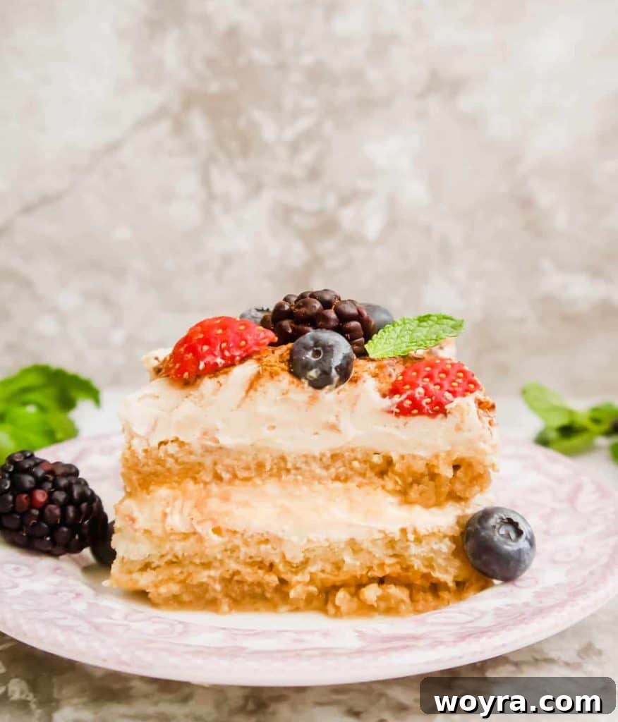 Berry Cloud Tiramisu 7 Delicious Dairy-Free Fresh Berry Tiramisu ready to serve