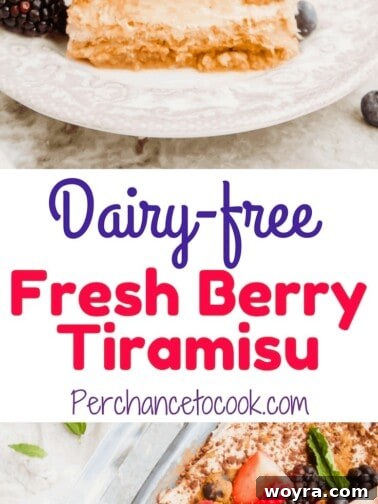 Berry Cloud Tiramisu 8 Side shot of Dairy-Free Fresh Berry Tiramisu