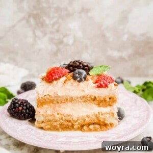 Dairy-Free Fresh Berry Tiramisu | Perchance to Cook