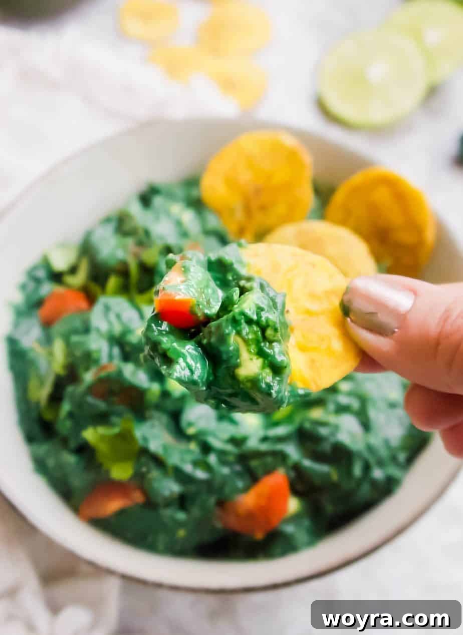 Green Power Guacamole 3 A tortilla chip being dipped into the rich, green spirulina guacamole, showcasing its creamy texture.