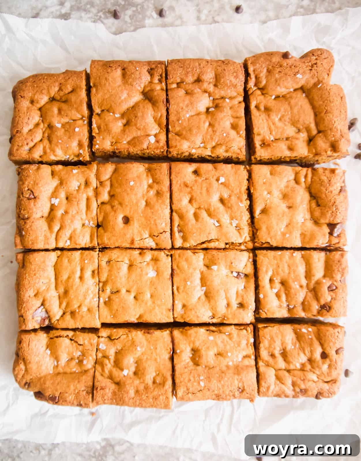 Primal Chocolate Chip Cookie Bars 9 Gluten-free chocolate chip cookie bars cut into perfect squares, ready to be enjoyed.