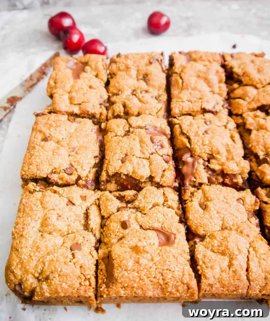 Paleo Chocolate Cherry Bliss Bars 3 Close-up of a perfectly baked Paleo Gluten-Free Chocolate Chip Cherry Cookie Bar, highlighting the chewy texture and generous chocolate and cherry pieces