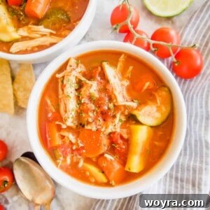 Slow Cooker Shredded Chicken and Vegetable Chili | Perchance to Cook, www.perchancetocook.com