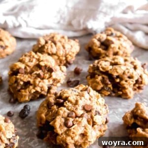 The Best Lactation Cookies (Dairy-free) | Perchance to Cook