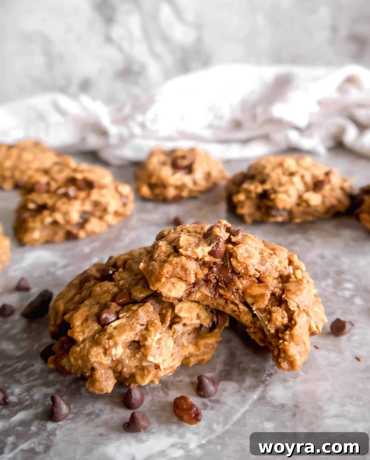 Power-Packed Dairy-Free Lactation Cookies 3 Dairy free lactation cookies stacked on top of each other with a bite taken out, showcasing their soft texture.