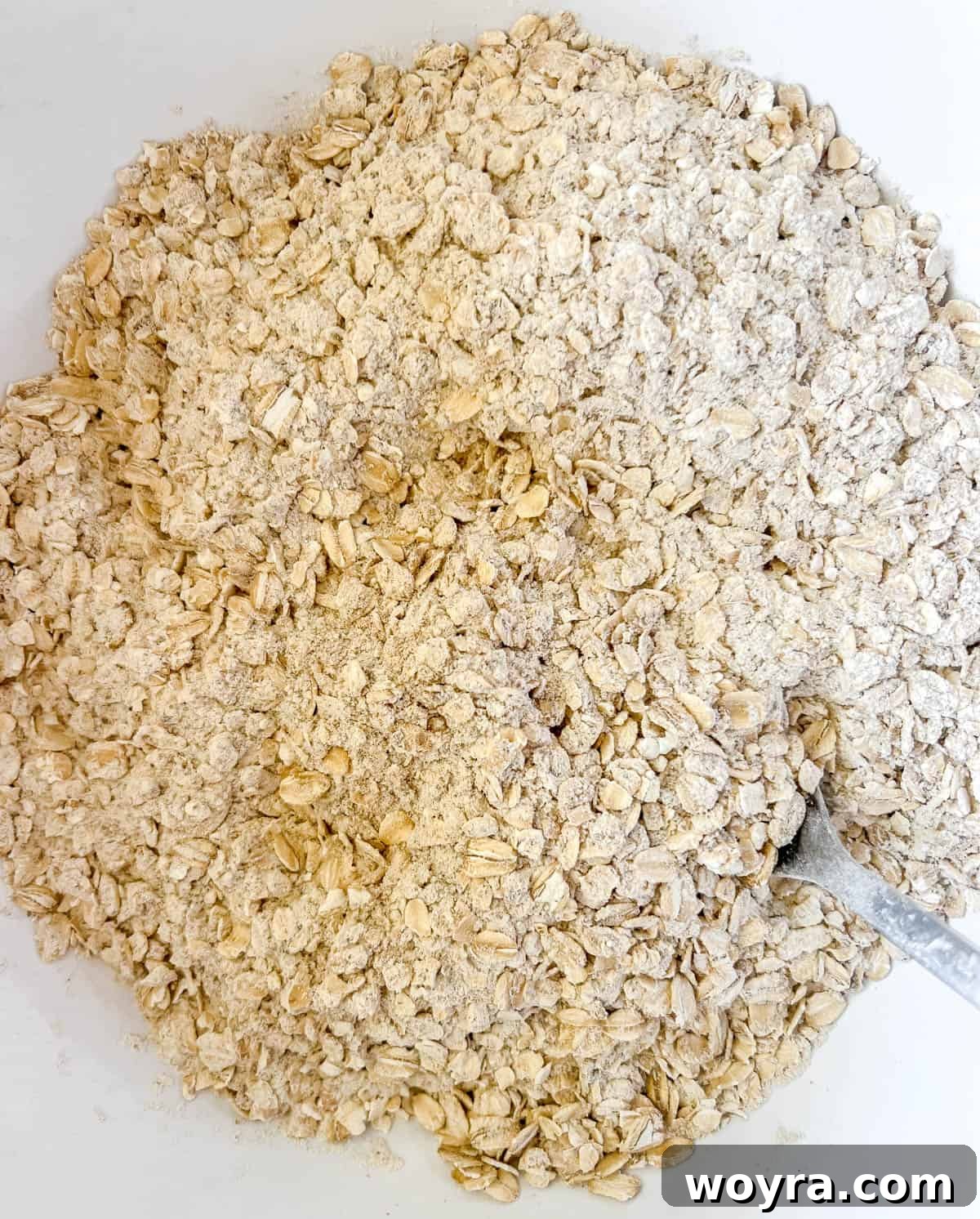 Power-Packed Dairy-Free Lactation Cookies 5 Dry ingredients in a bowl, clearly showing the oats, flour, and powders.