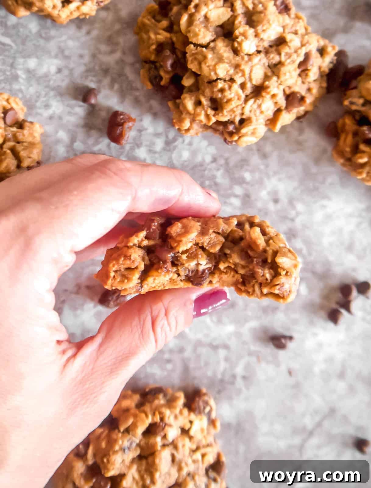 Power-Packed Dairy-Free Lactation Cookies 9 A bite taken out of a dairy free lactation cookie held in a hand, showing the moist interior.