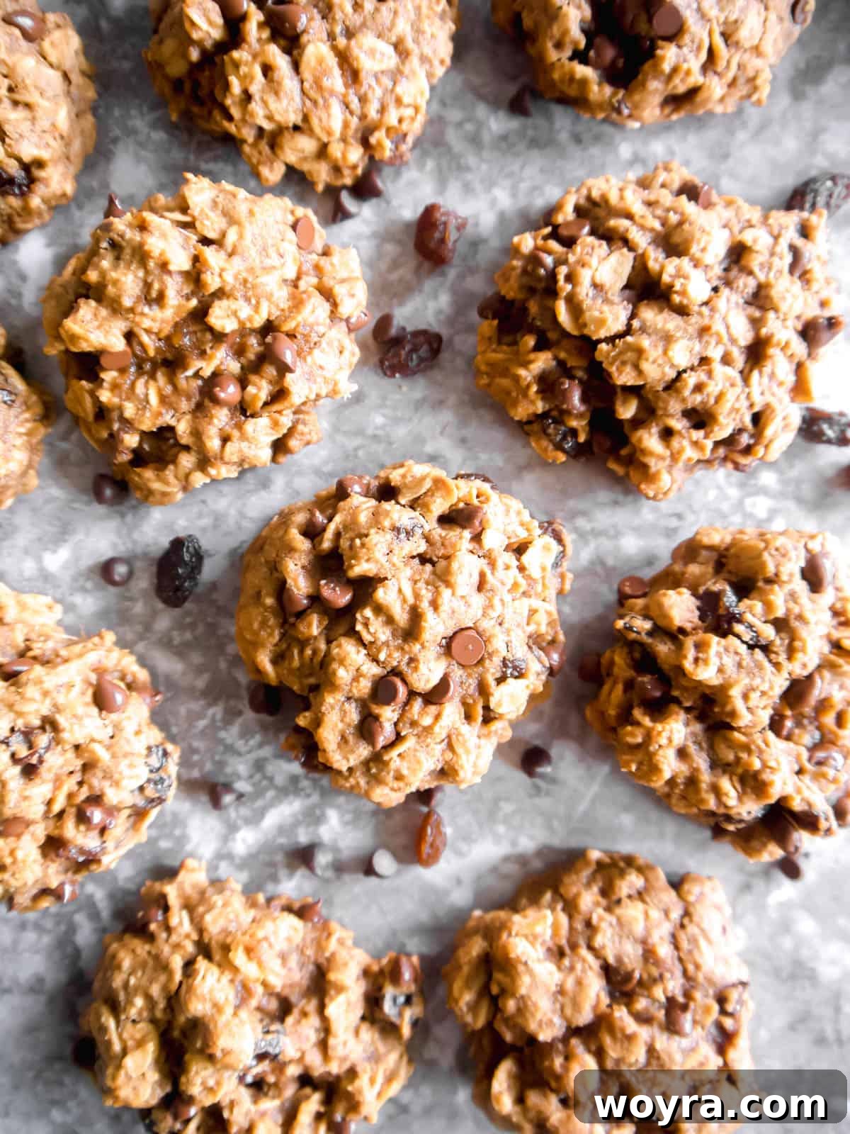 Power-Packed Dairy-Free Lactation Cookies 10 Lactation cookies surrounded by chocolate chips, highlighting the delicious mix-ins.