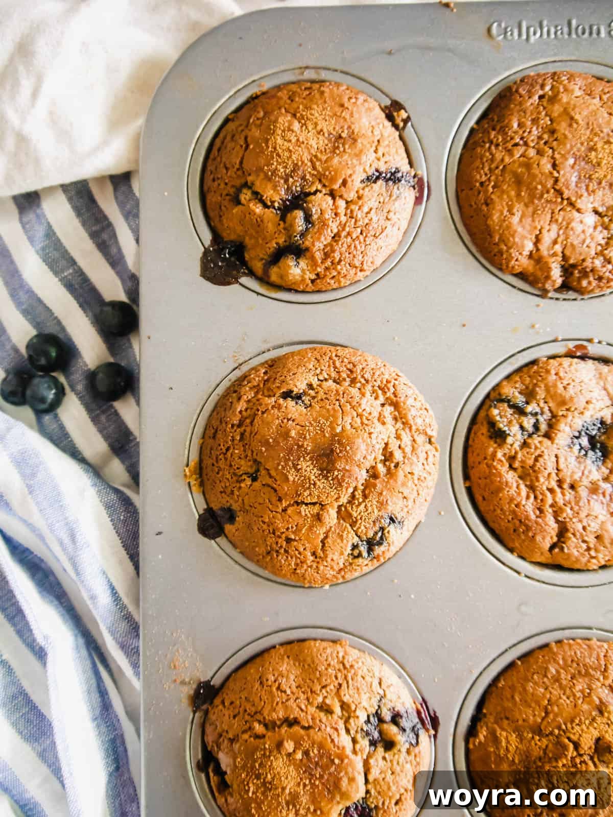 Grain-Free Blueberry Bliss Muffins 12 Golden-brown Paleo blueberry muffins fresh out of the oven.