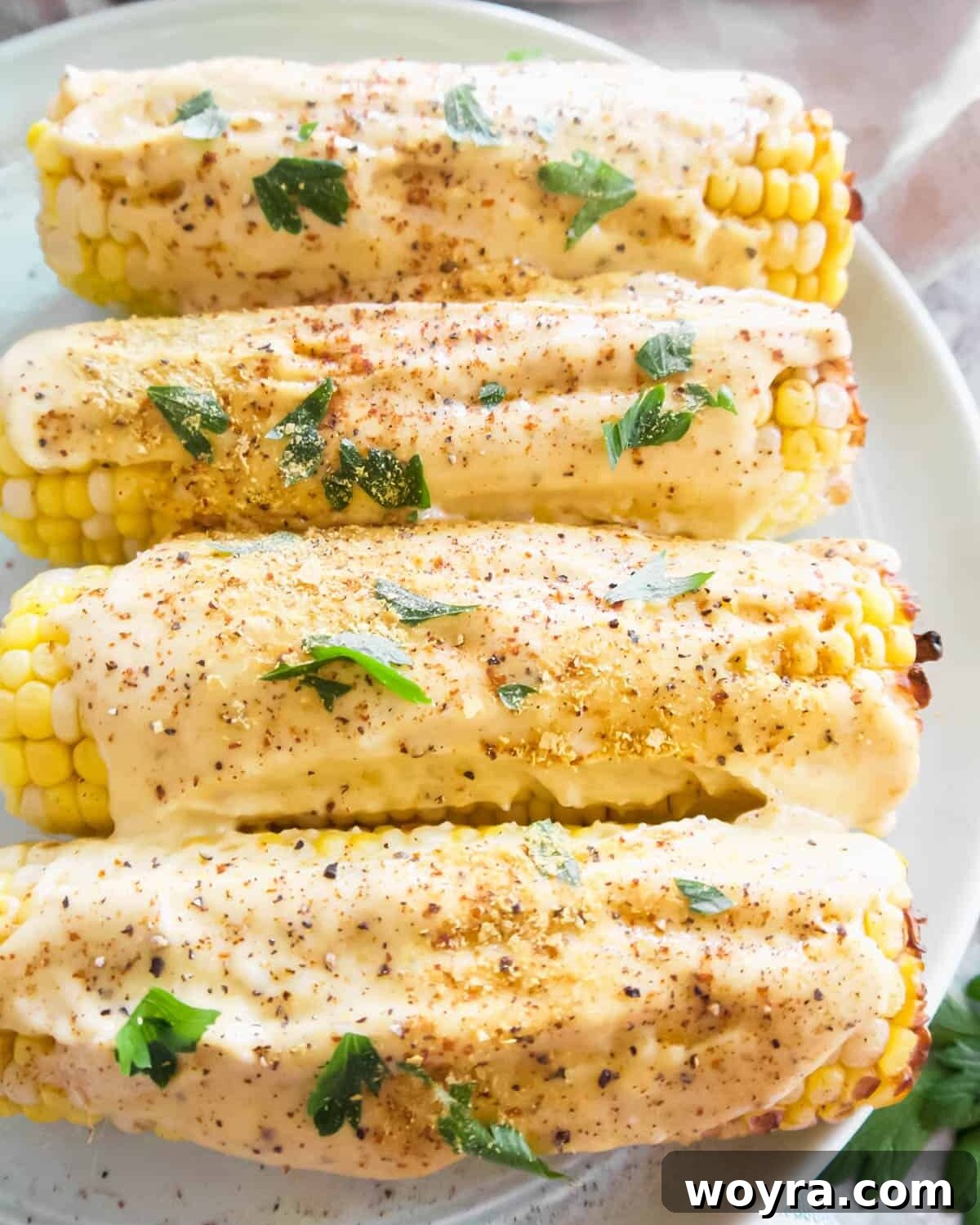 Plant-Based Mexican Street Corn 3 Vegan Mexican street corn on a plate with nutritional yeast sprinkled on top for extra flavor and visual appeal.