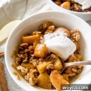 Wholesome Vegan Apple Crisp 10 Gluten-free Dairy-free Apple Crisp | A delicious, healthy apple crisp with a golden streusel topping. www.perchancetocook.com