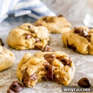Olive Oil Chocolate Chip Cookies (Dairy-free)