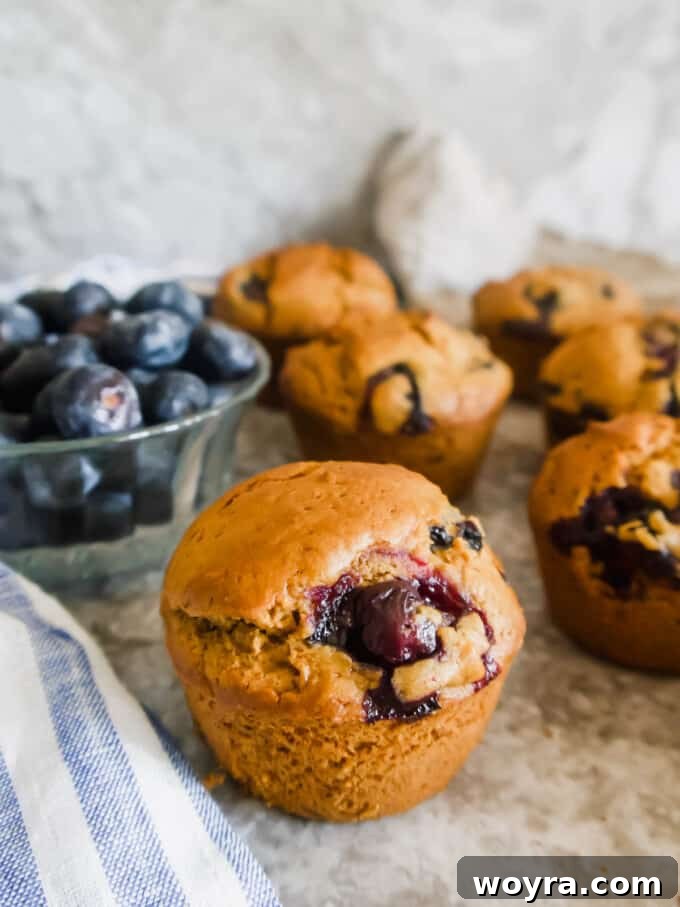 Dairy Free Olive Oil Blueberry Muffins 11 A single dairy-free blueberry muffin cooling on a wire rack.