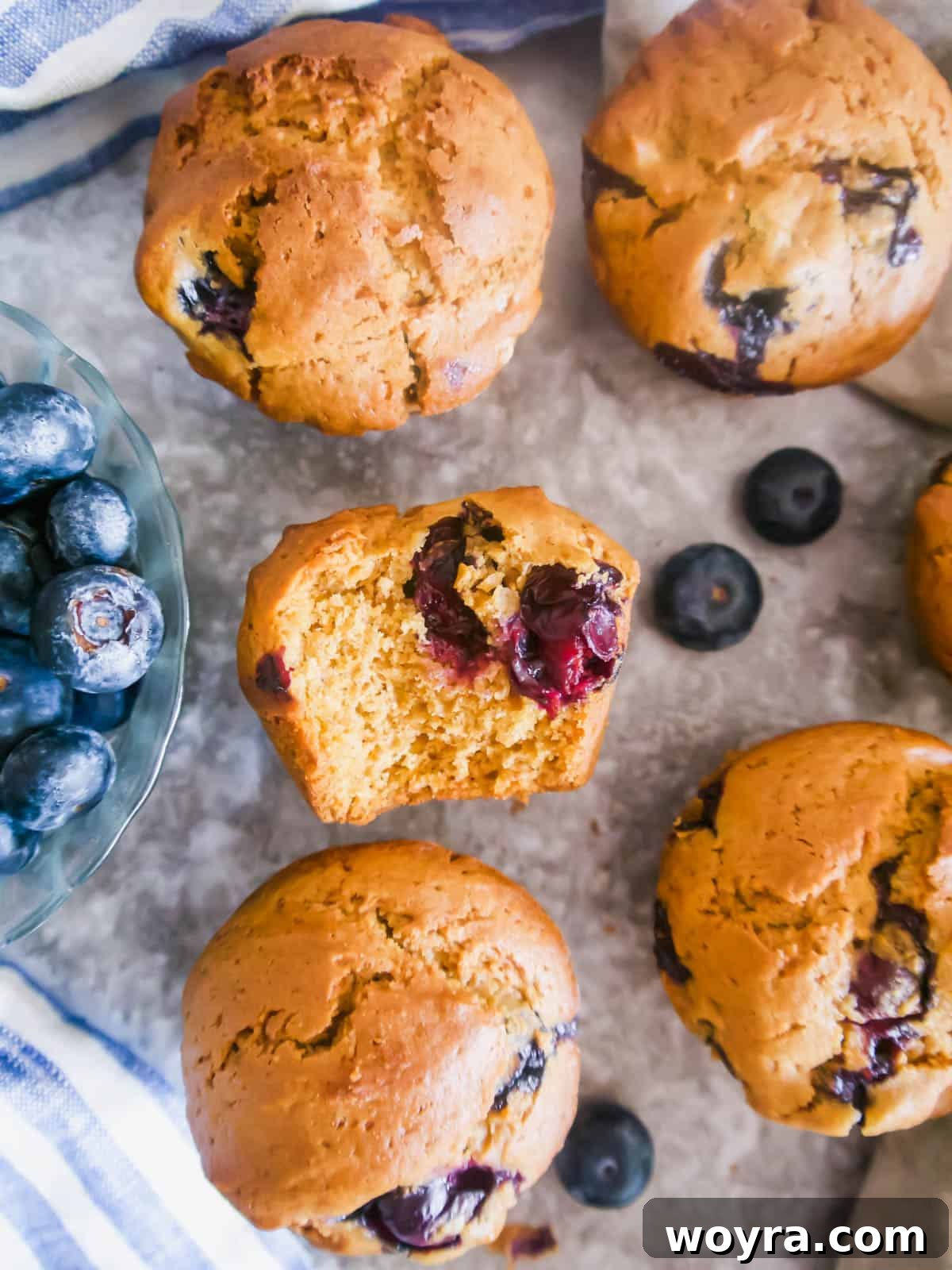 Dairy Free Olive Oil Blueberry Muffins 12 A dairy-free blueberry muffin made with olive oil, with a bite taken out, revealing its fluffy interior and juicy blueberries.
