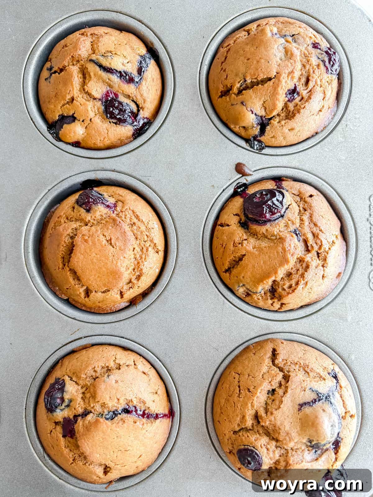 Dairy Free Olive Oil Blueberry Muffins 10 Dairy-free blueberry muffins fresh out of the oven, golden brown and perfectly risen.