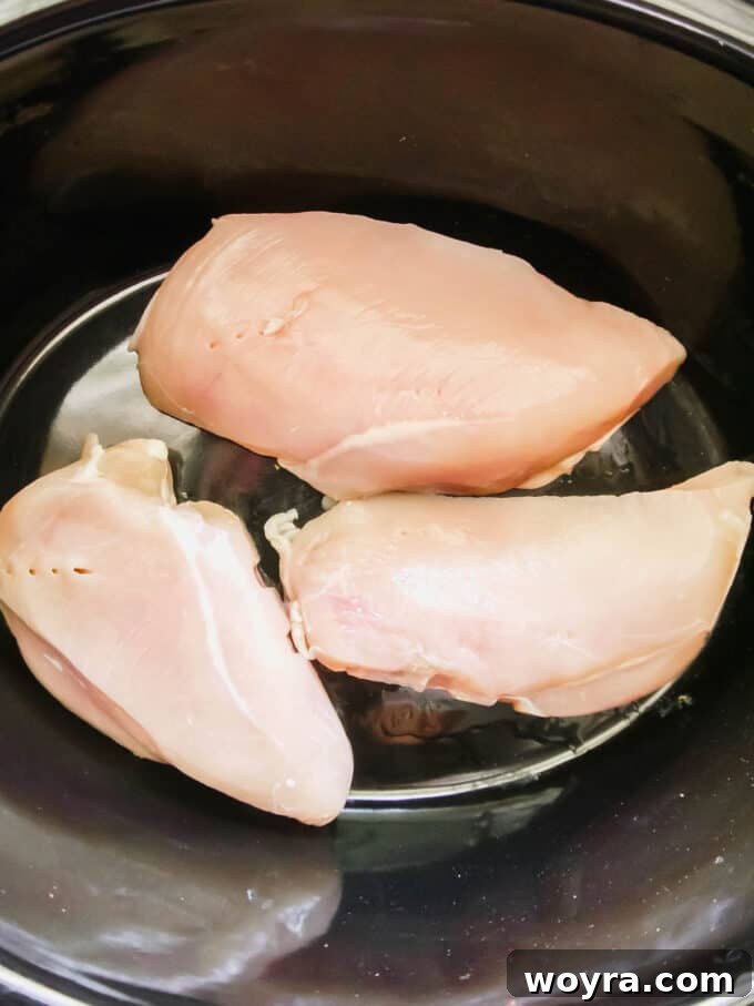 Raw chicken breasts placed at the bottom of a slow cooker.