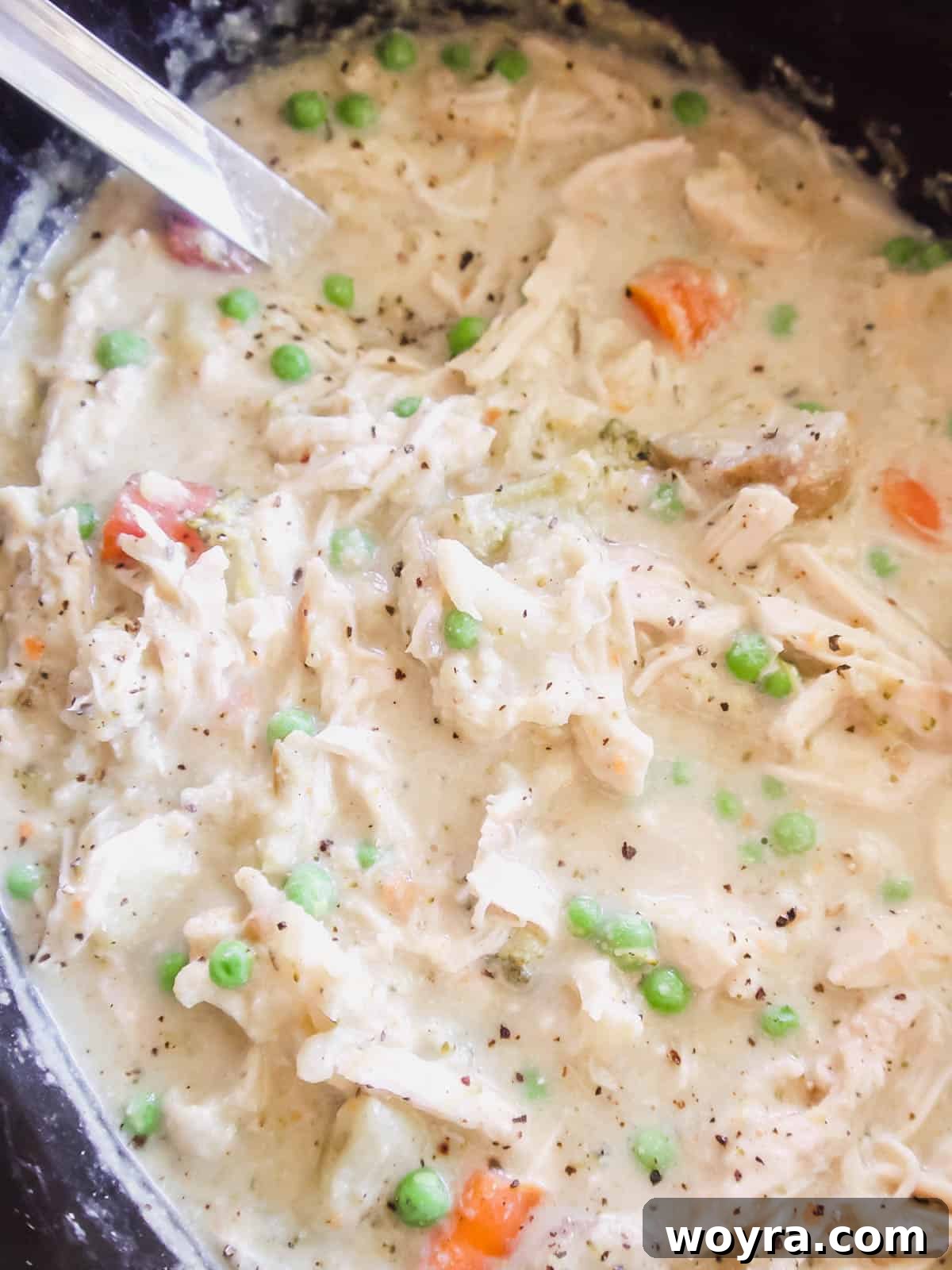 The blended soup, shredded chicken, and remaining ingredients mixed together in the slow cooker.