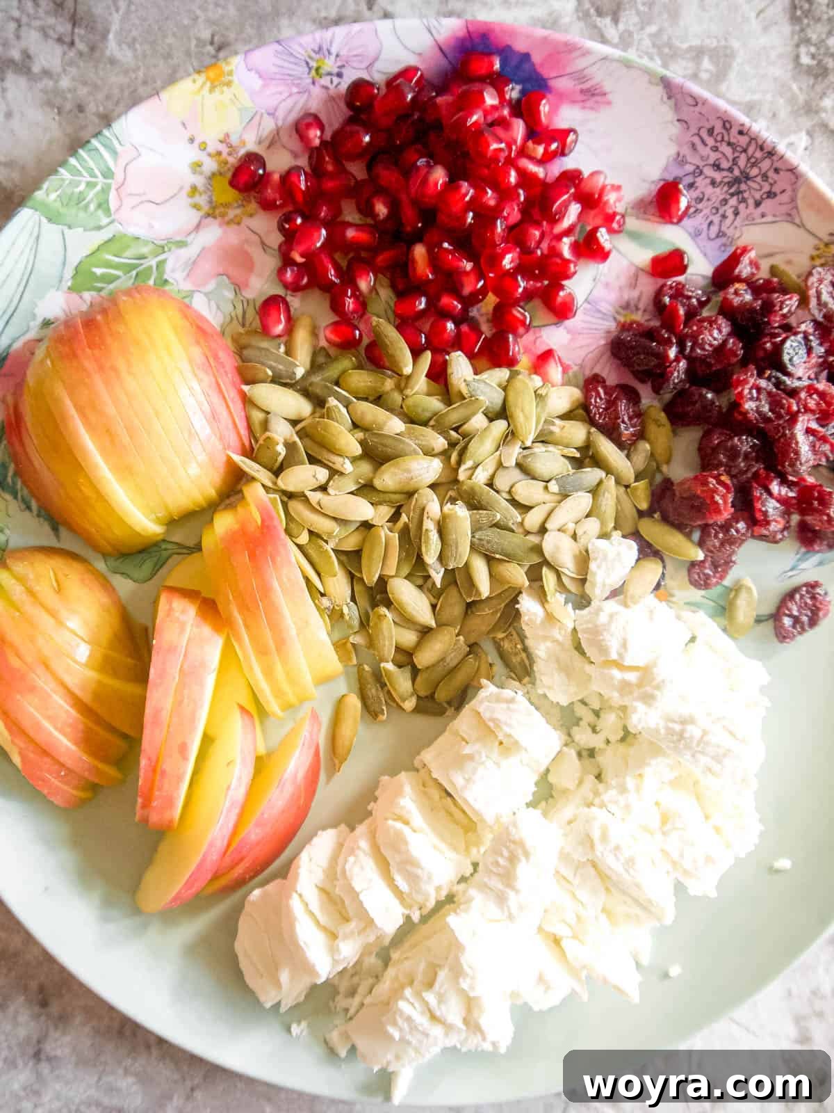 Maple Glazed Harvest Salad 7 Various vibrant salad ingredients like thinly sliced honeycrisp apple, sweet dried cranberries, and creamy goat cheese prepped on a plate, ready for assembly.