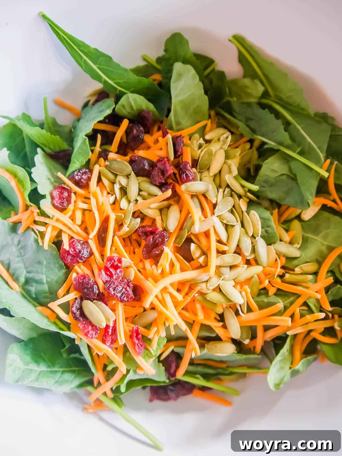 Maple Glazed Harvest Salad 8 Fresh baby kale, shredded carrots, and pumpkin seeds neatly placed in a large mixing bowl, awaiting the final assembly.