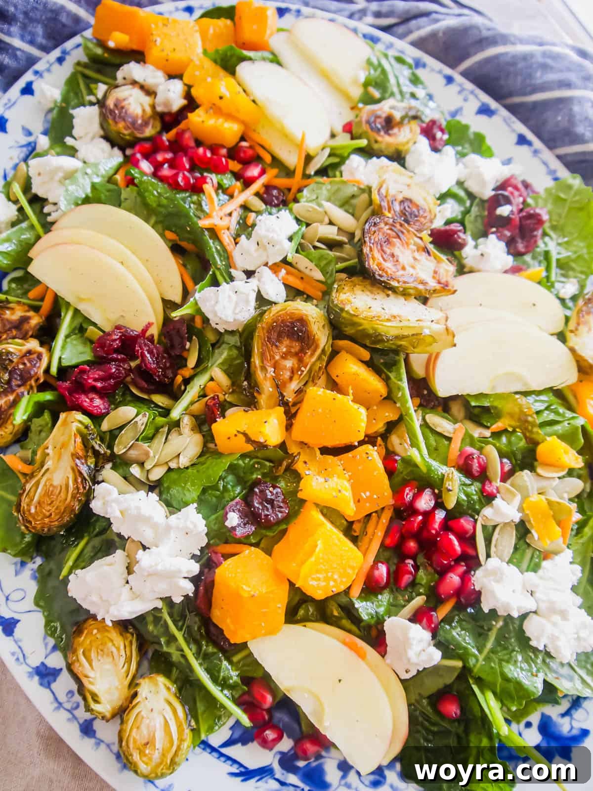Maple Glazed Harvest Salad 10 A vibrant and appealing Fall Harvest Salad, beautifully plated on a white dish and garnished, ready to be served and enjoyed.