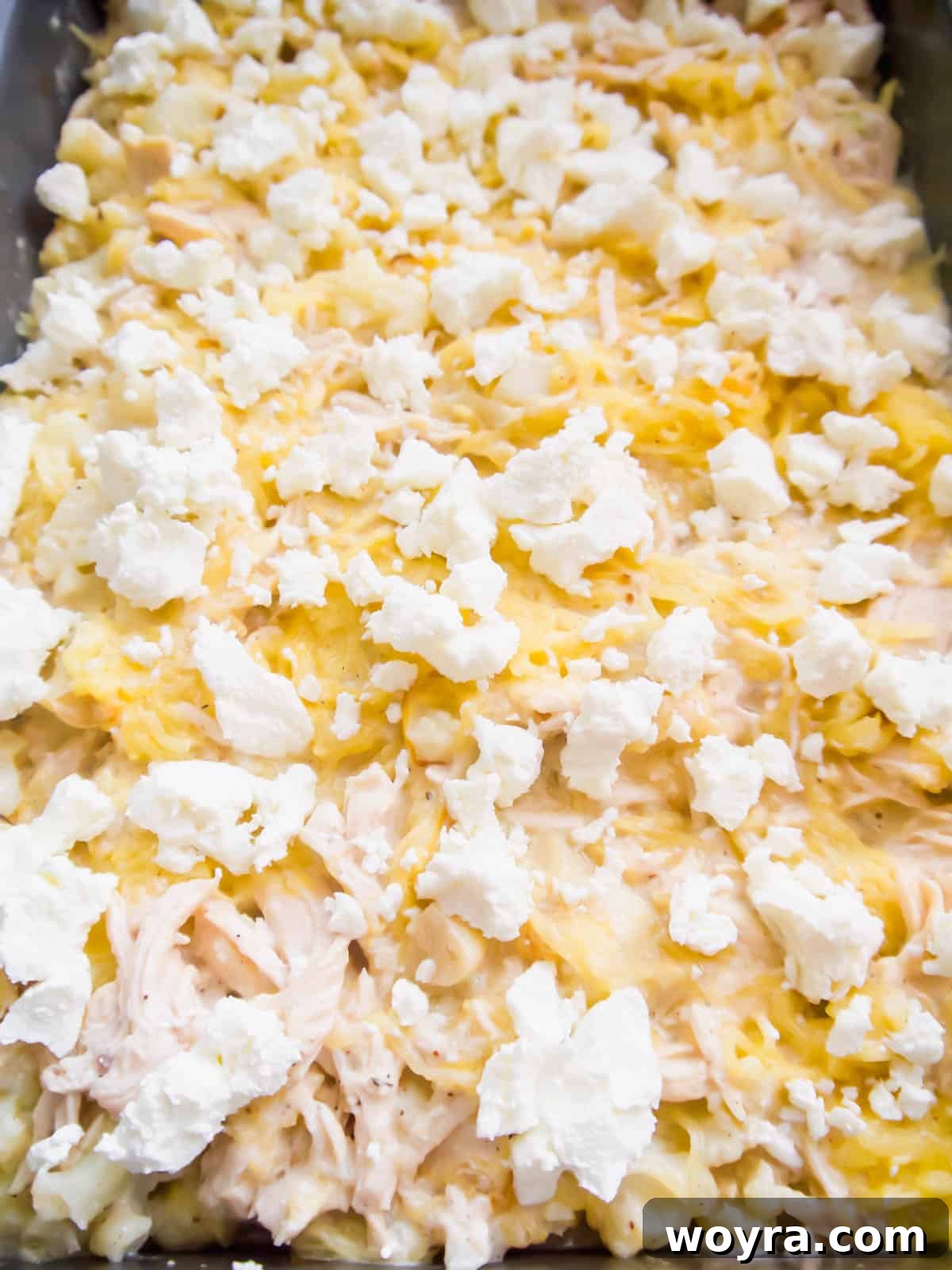 Clean-Eating Chicken Spaghetti Squash Casserole 7 Spaghetti Squash Chicken Casserole before baking.