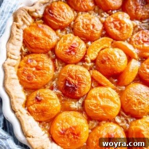 Apricot tart freshly baked and out of the oven.