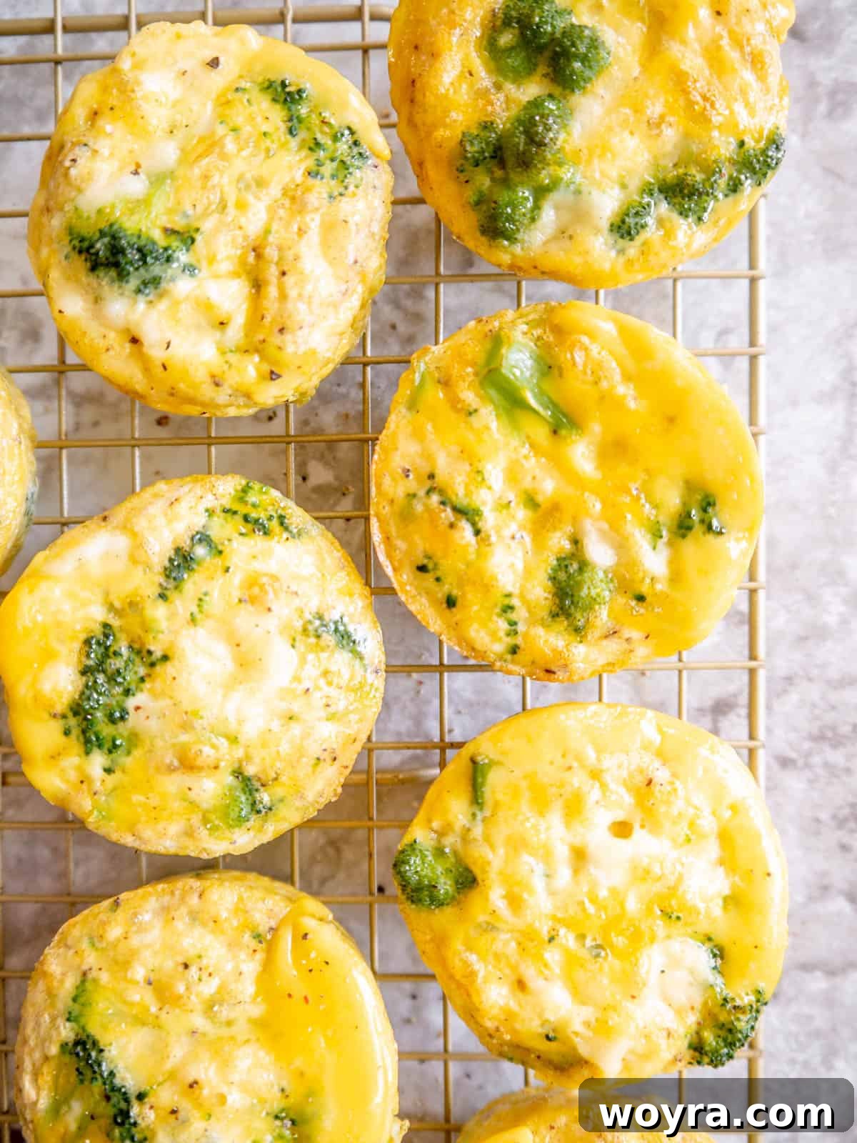 Broccoli cheddar Keto egg bites cooling on a wire drying rack.