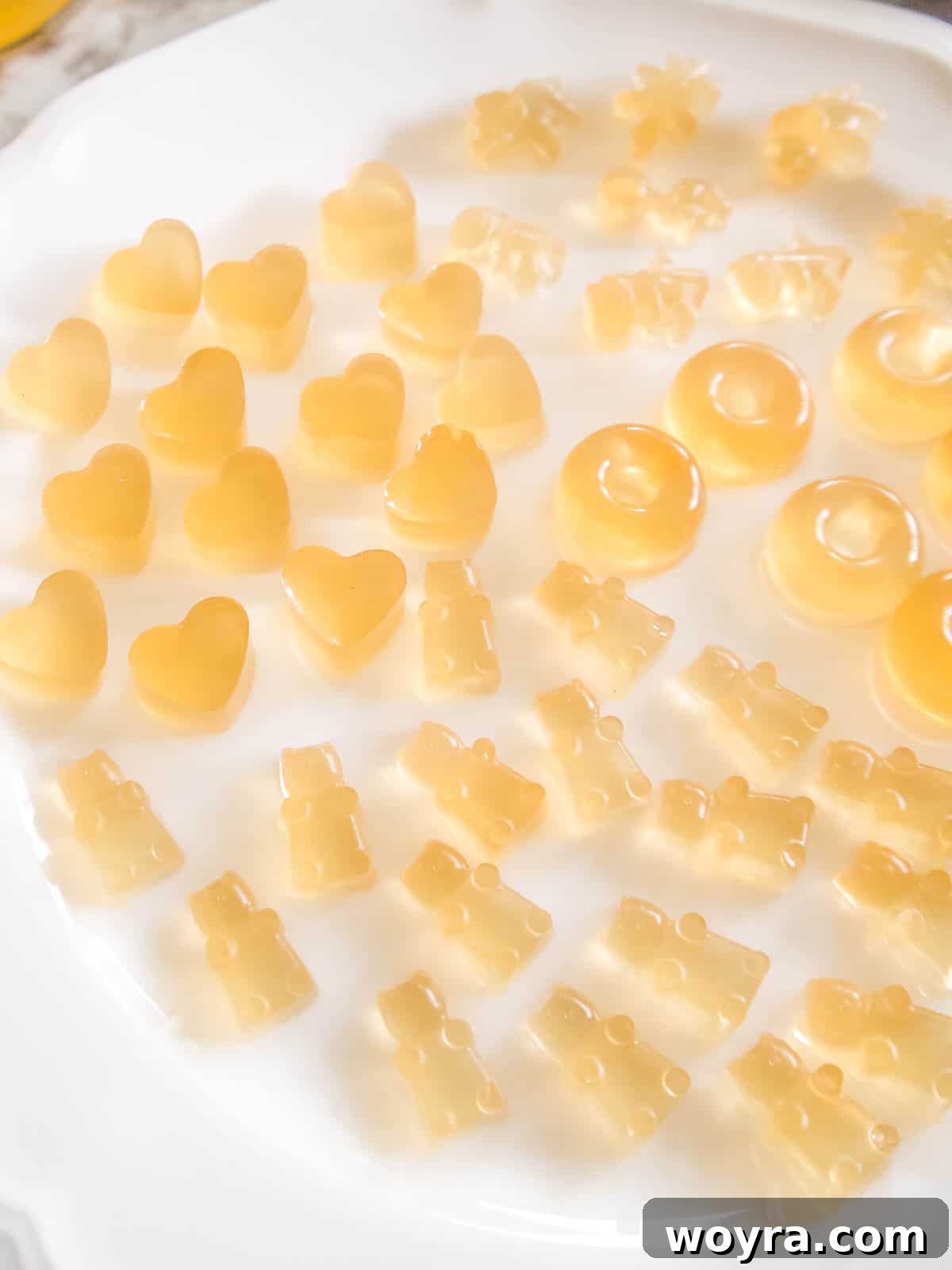 Wholesome Apple Gummy Delights 8 Finished apple juice gummies neatly arranged on a plate.
