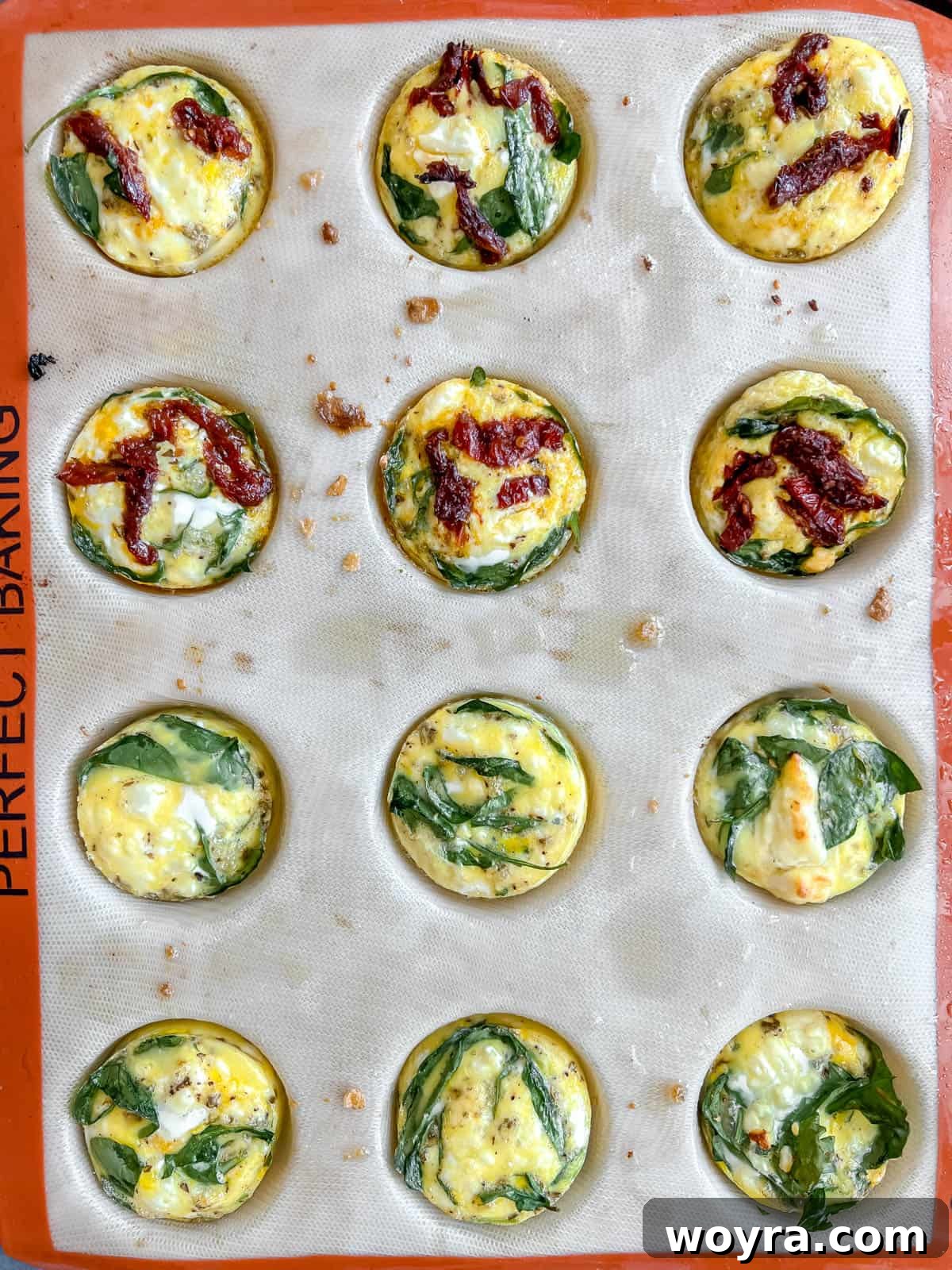 Spinach Feta Egg Bites 9 Baked spinach feta egg bites, golden brown and puffed, fresh out of the oven.