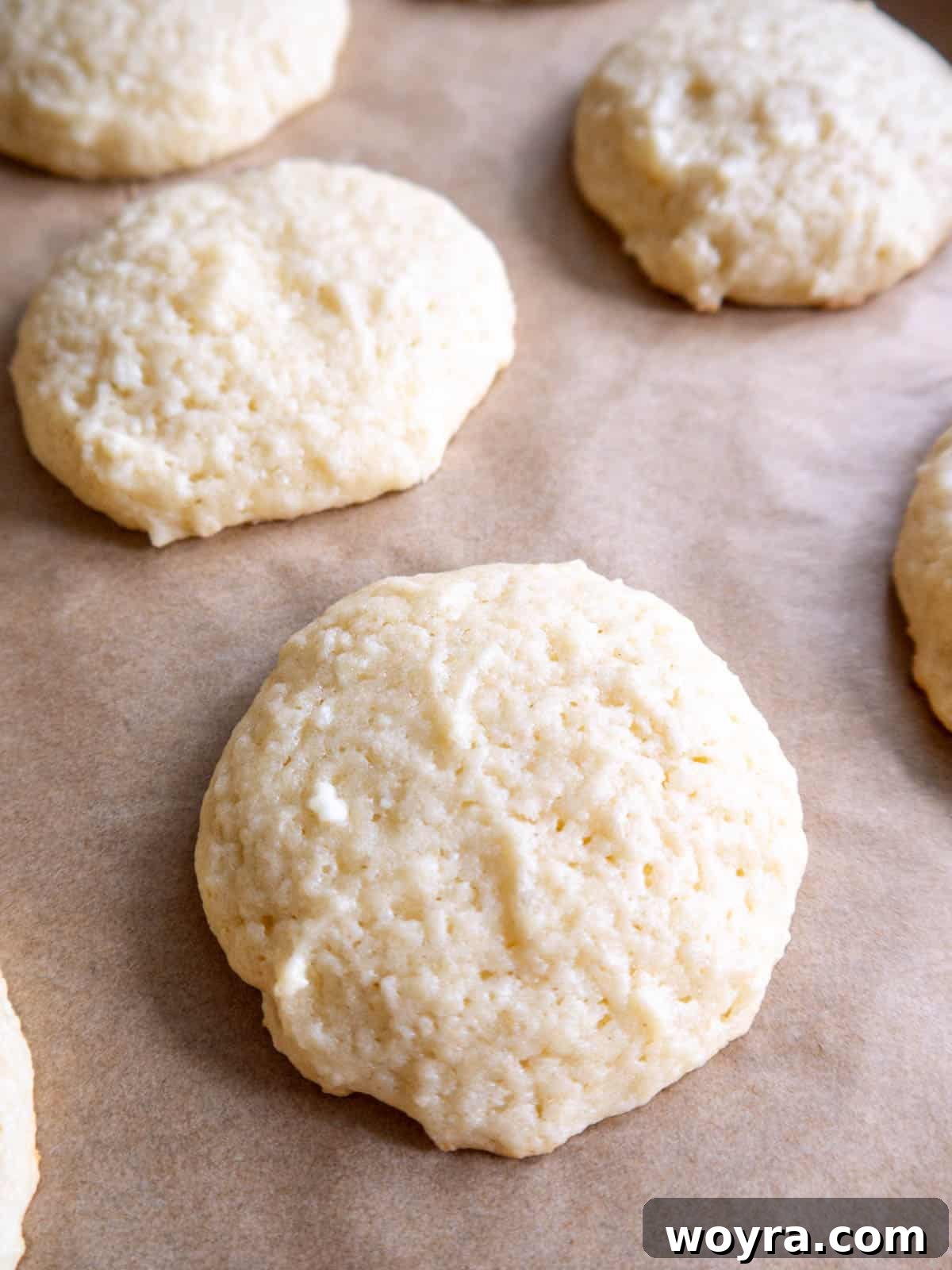 Wholesome Cottage Cheese Cookies 14 A single cottage cheese sugar cookie presented on a baking sheet.