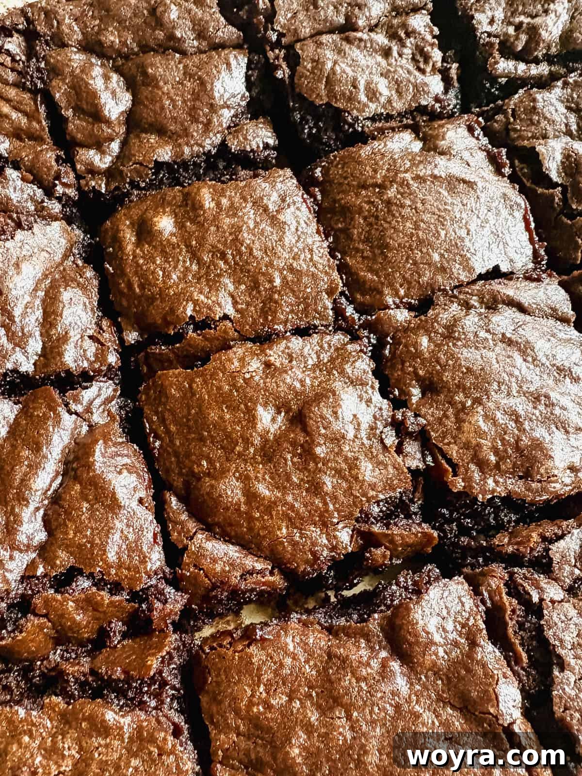 Silky Olive Brownies 2 Freshly baked olive oil brownies, meticulously cut into uniform squares and arranged beautifully, ready to be served and savored.