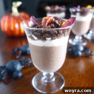 Clean "Dirt" (paleo, GF) featured image