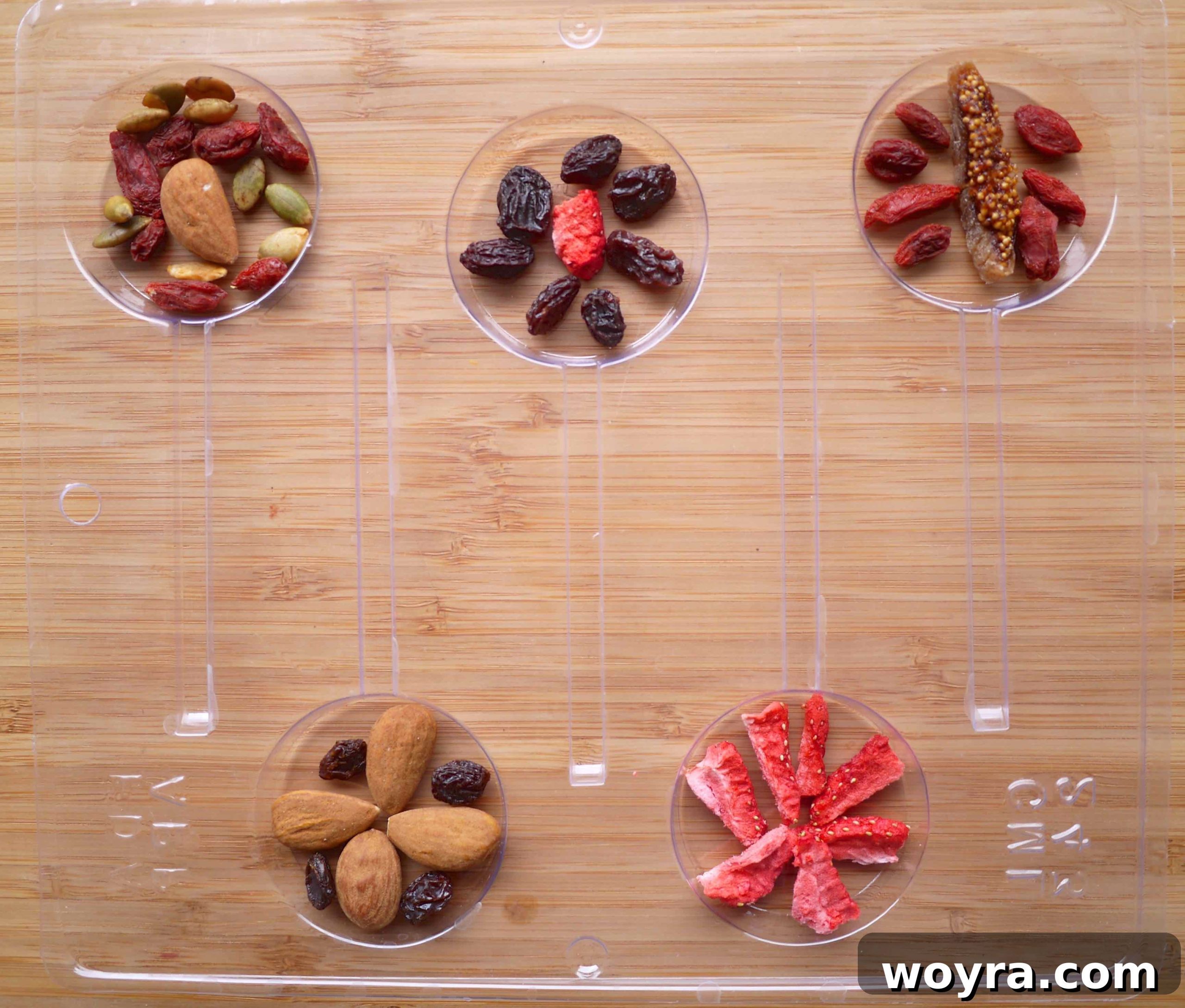 Artisan Chocolate Fruit Pops 3 Arranging dried fruit and nuts meticulously into the individual cavities of a chocolate lollipop mold.