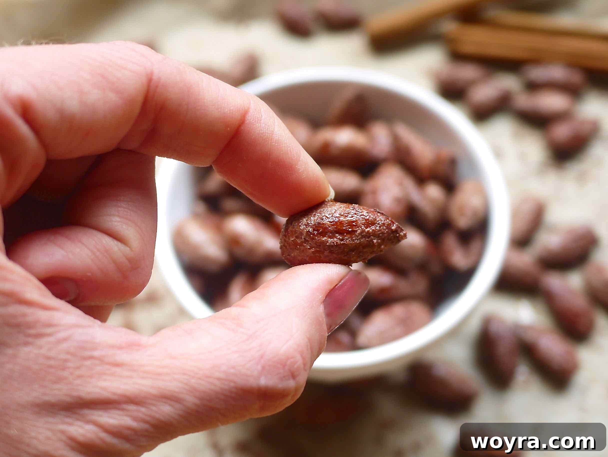 Warm Cinnamon Maple Roasted Almonds 6 A hand holding a single cinnamon maple almond, showing its texture and coating.