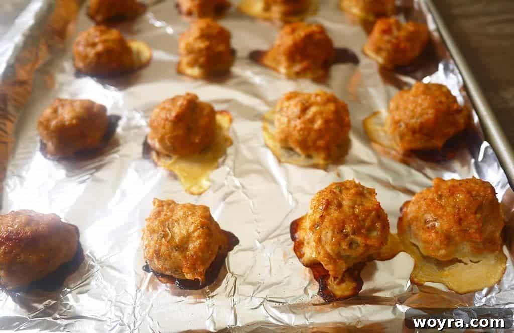 Paleo Chicken Taco Poppers 5 Close-up of a single Paleo Chicken Taco Meatball, showing its texture and enticing seasoning. Courtesy of Perchance to Cook.