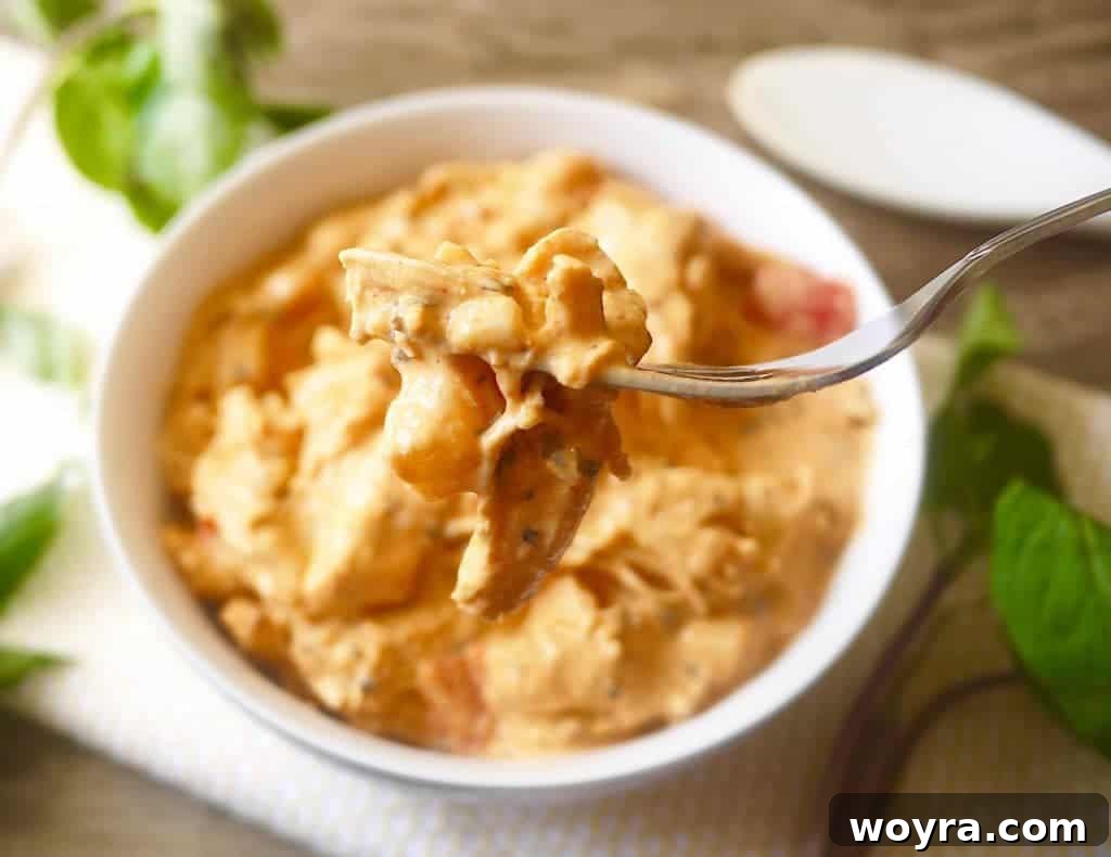 Close-up of Red Coconut Curry Pulled Chicken with visible coconut milk sauce.