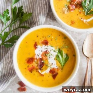 Golden Butternut Chicken Comfort 11 Butternut Squash and Chicken Soup | Perchance to Cook