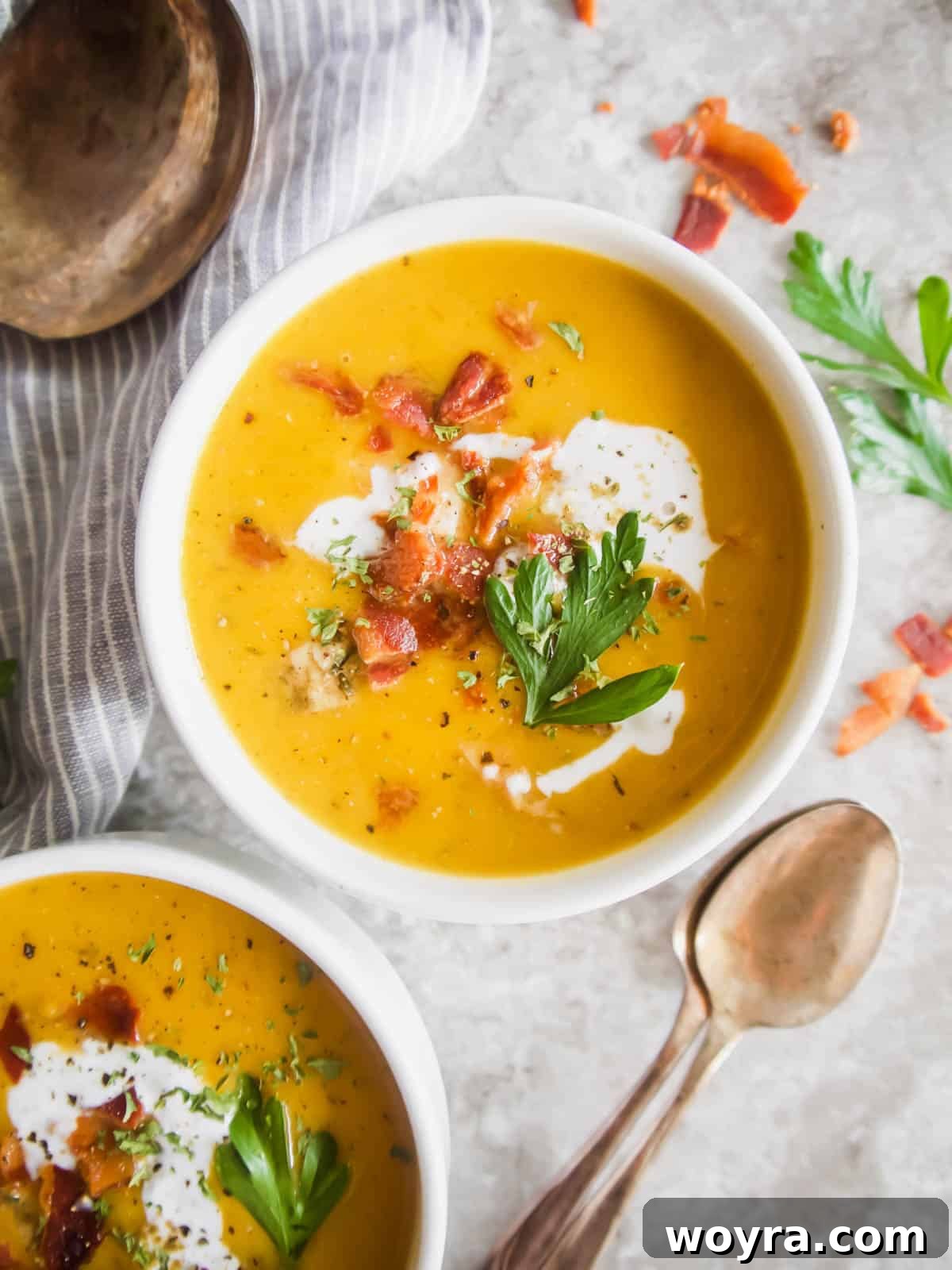 Golden Butternut Chicken Comfort 4 Aerial view of butternut squash soup with chicken in bowls.