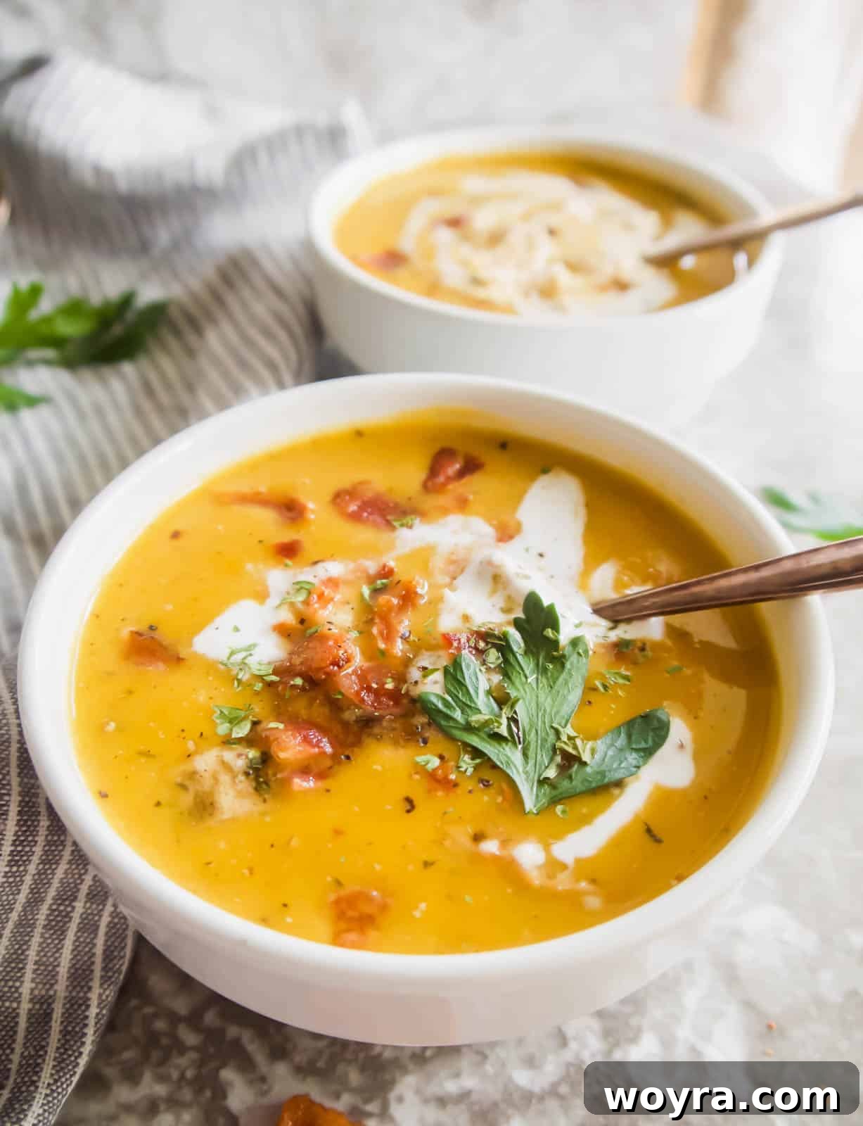 Golden Butternut Chicken Comfort 10 Side view of chicken butternut squash soup in a bowl.