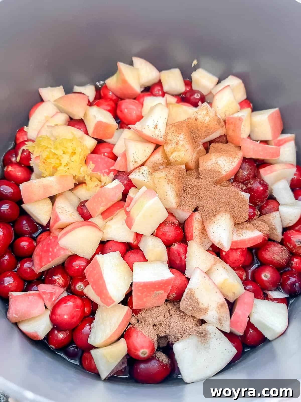 Homemade Cranberry Apple Sauce 4 All ingredients for cranberry apple sauce, including fresh cranberries, uniformly diced apples, fragrant spices, and natural sweeteners, carefully gathered in a sturdy saucepan before commencing the cooking process.