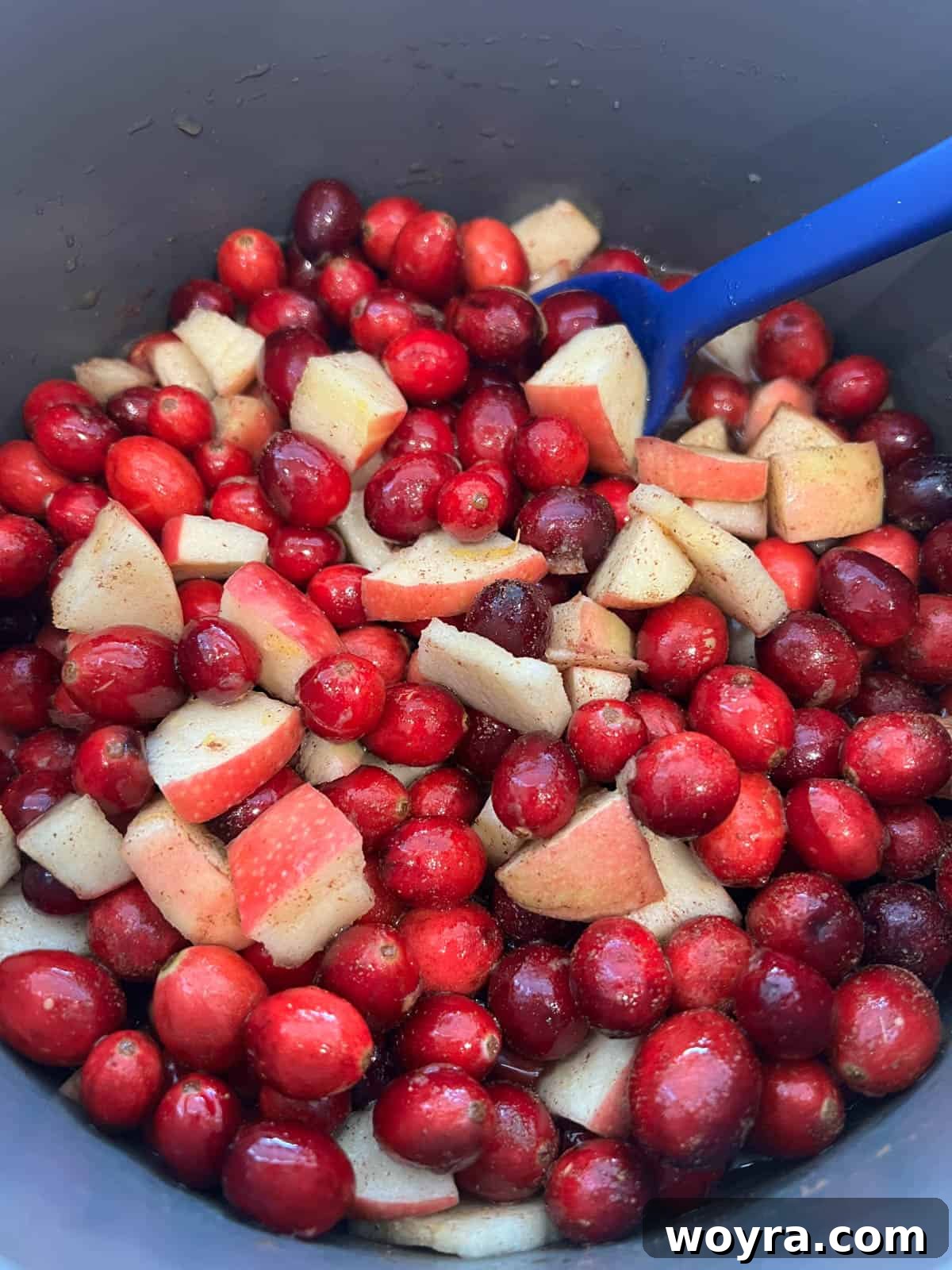 Homemade Cranberry Apple Sauce 5 Fresh cranberries and diced apples heating up in a saucepan over medium-high heat, beginning to soften and gracefully release their natural juices as the mixture gradually comes to a vigorous boil.