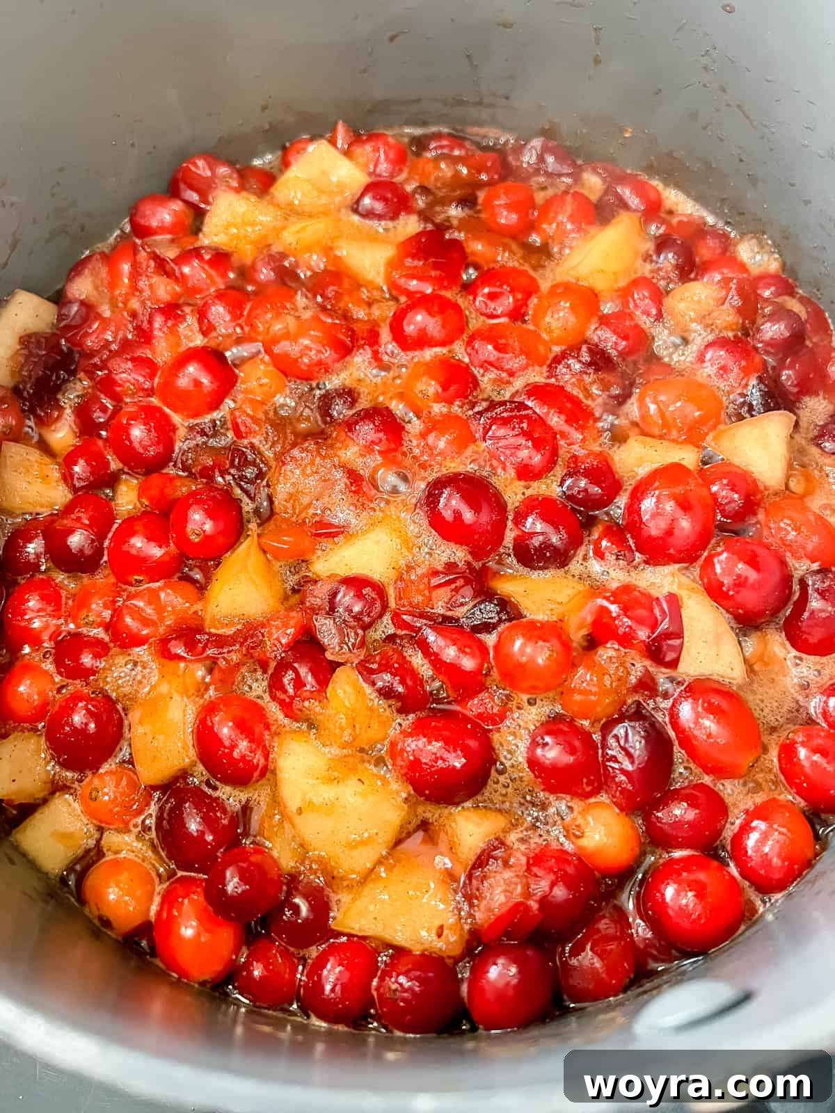 Homemade Cranberry Apple Sauce 6 Cranberry apple sauce actively simmering in a pan on the stovetop, with most berries now beautifully burst and apples softening to perfection, gradually thickening into a rich, glossy, and inviting sauce.
