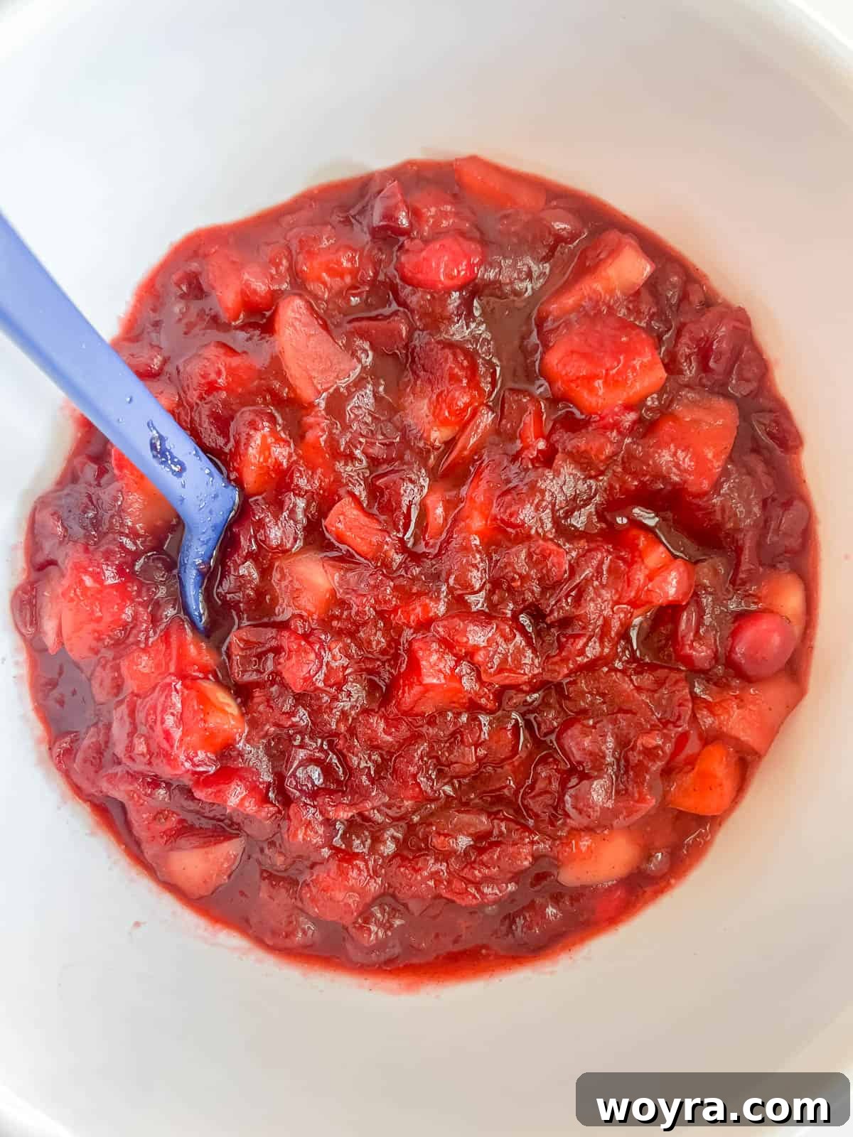 Homemade Cranberry Apple Sauce 7 Freshly cooked cranberry apple sauce carefully poured into an elegant glass bowl, gracefully cooling at room temperature, ready to be served or meticulously stored. Its rich, inviting color and smooth, luscious texture are perfectly evident.